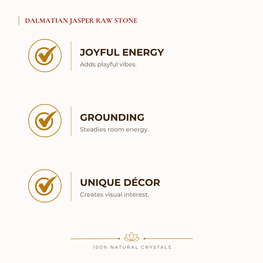 Natural Dalmatian Jasper Raw Stone for Joy