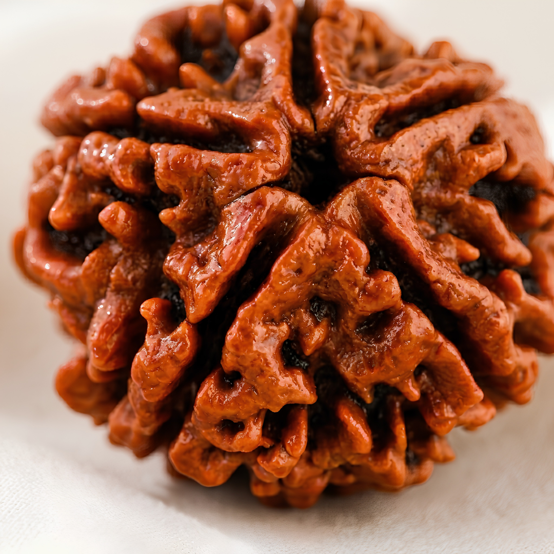 5 Mukhi Rudraksha Bead for Peace