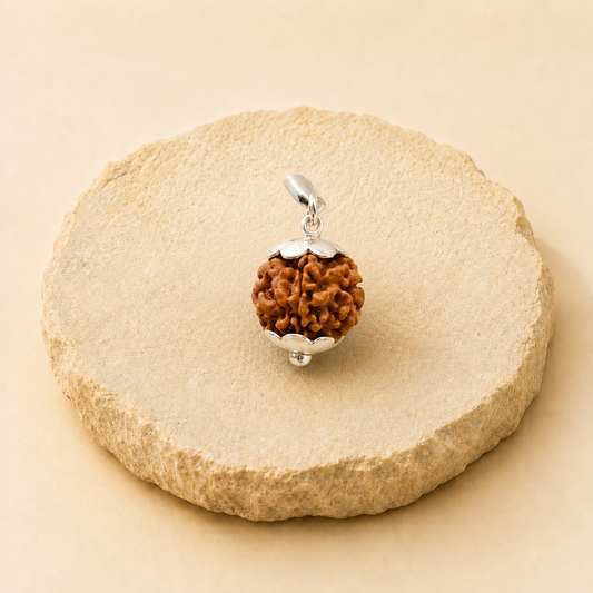 1 Mukhi Rudraksha Pendant natural crystal product view by Evashu Crystals