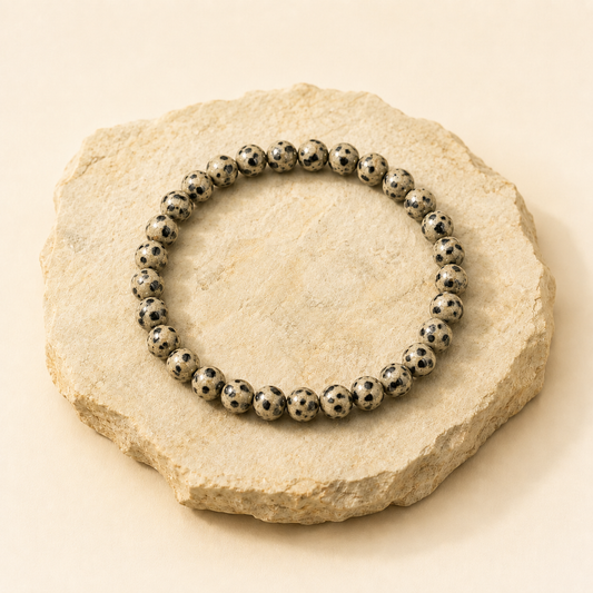 Dalmatian Jasper Bracelet natural crystal bracelet product view by Evashu Crystals