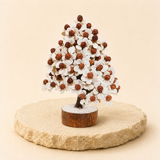 Gomti Rudraksha Tree natural crystal product view by Evashu Crystals