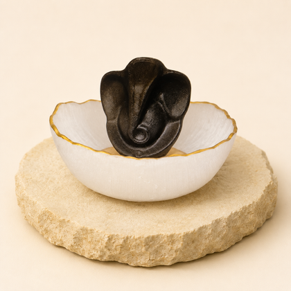 Selenite Bowl + Ganesha natural crystal product view by Evashu Crystals