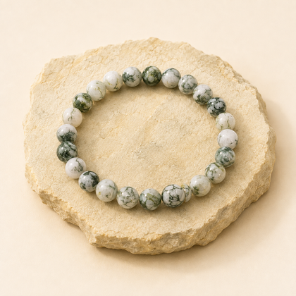 Tree Agate Bracelet natural crystal bracelet product view by Evashu Crystals