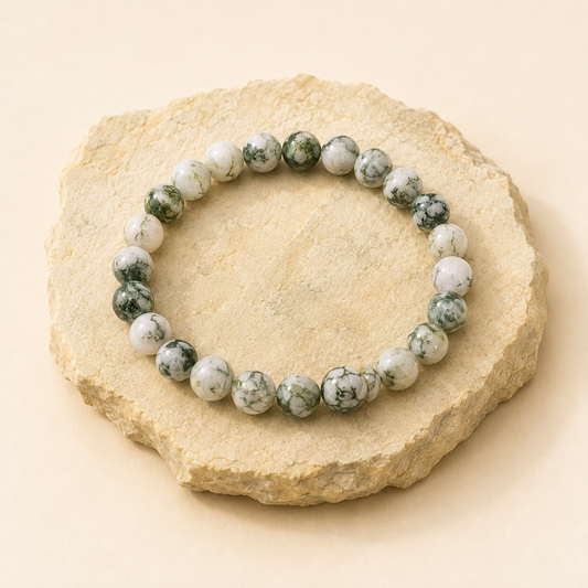 Tree Agate Bracelet natural crystal bracelet product view by Evashu Crystals