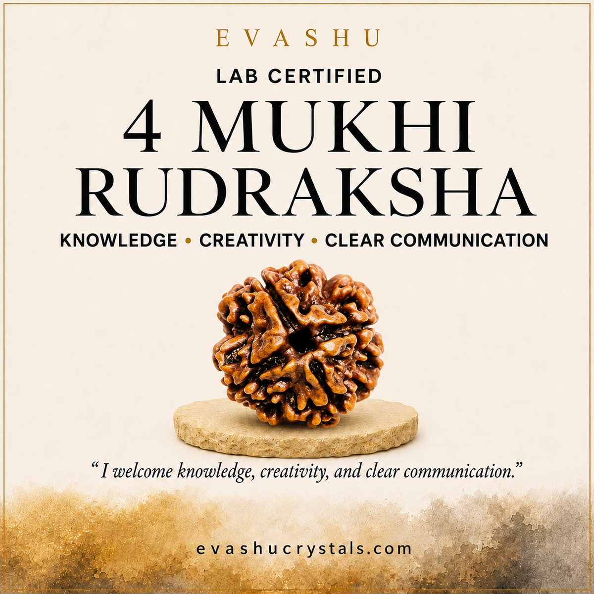 4 Mukhi Rudraksha benefits benefits guide
