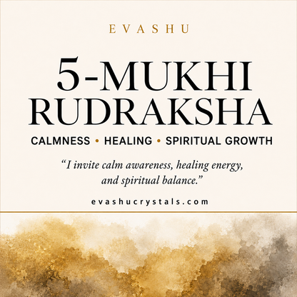 5 Mukhi Rudraksha benefits benefits guide
