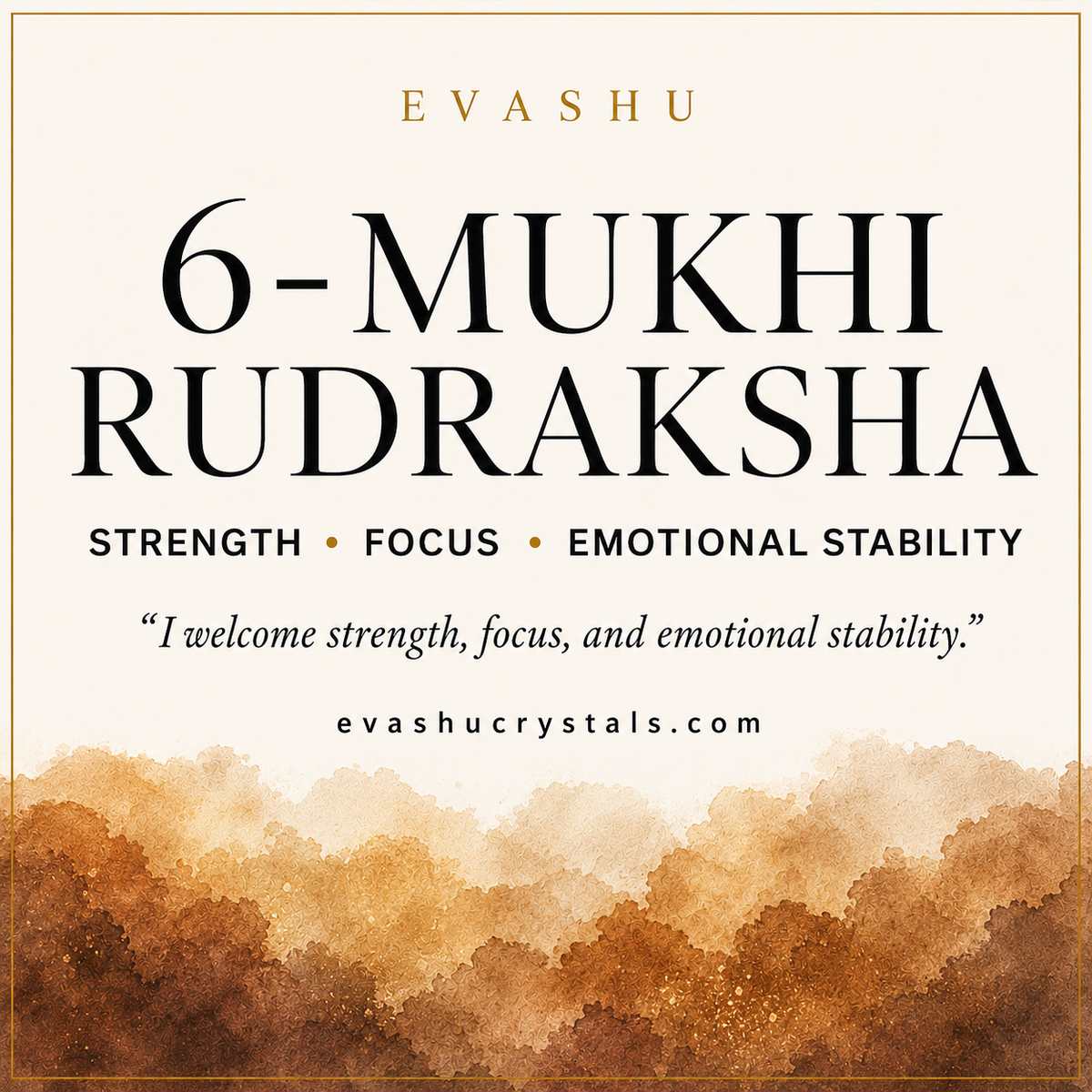 6 Mukhi Rudraksha benefits benefits guide