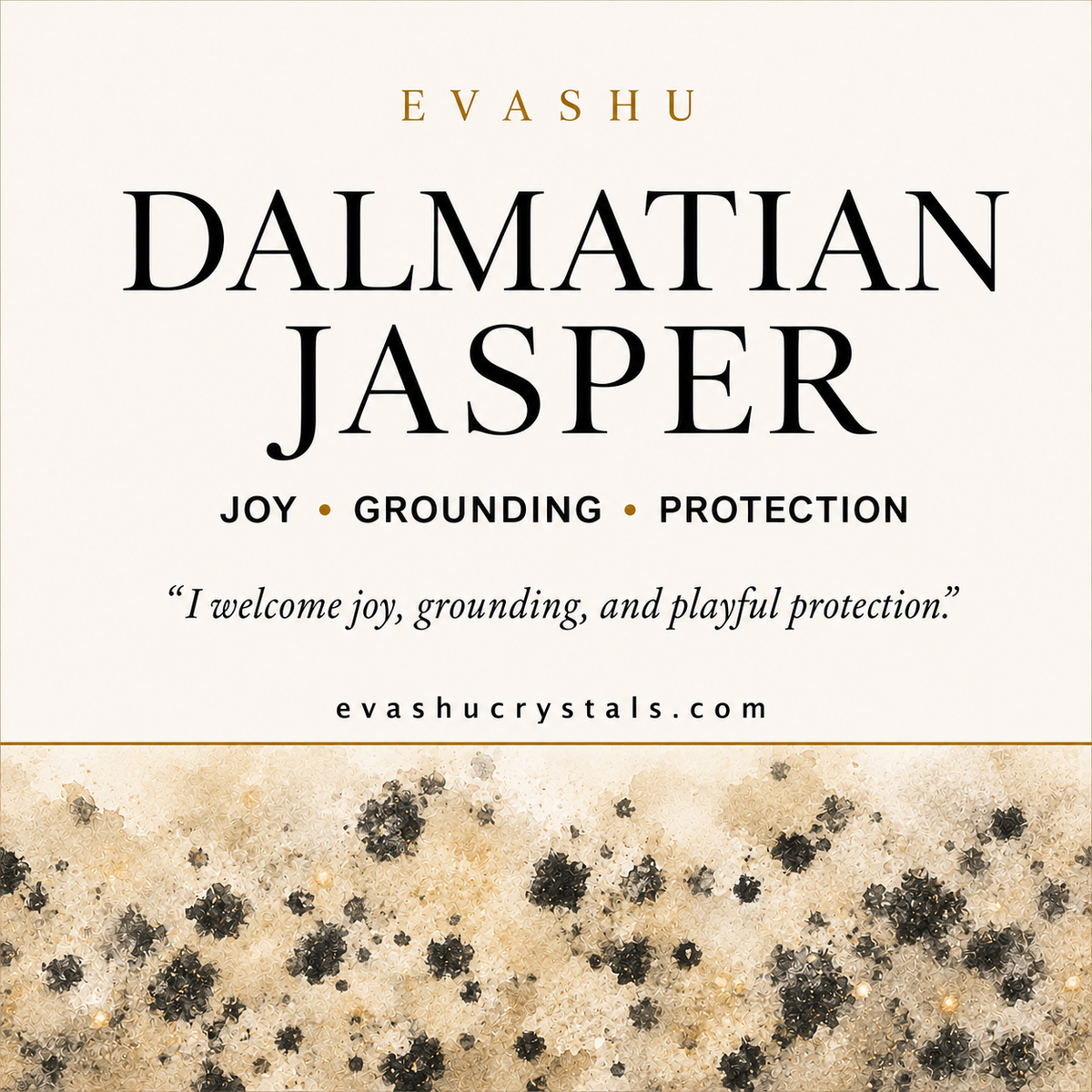 Dalmatian Jasper Stone benefits benefits guide
