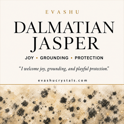 Dalmatian Jasper Stone benefits benefits guide