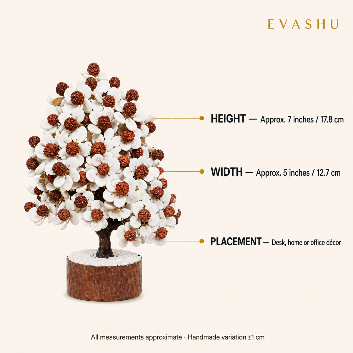 Gomti Rudraksha Tree size, dimensions and product specification guide