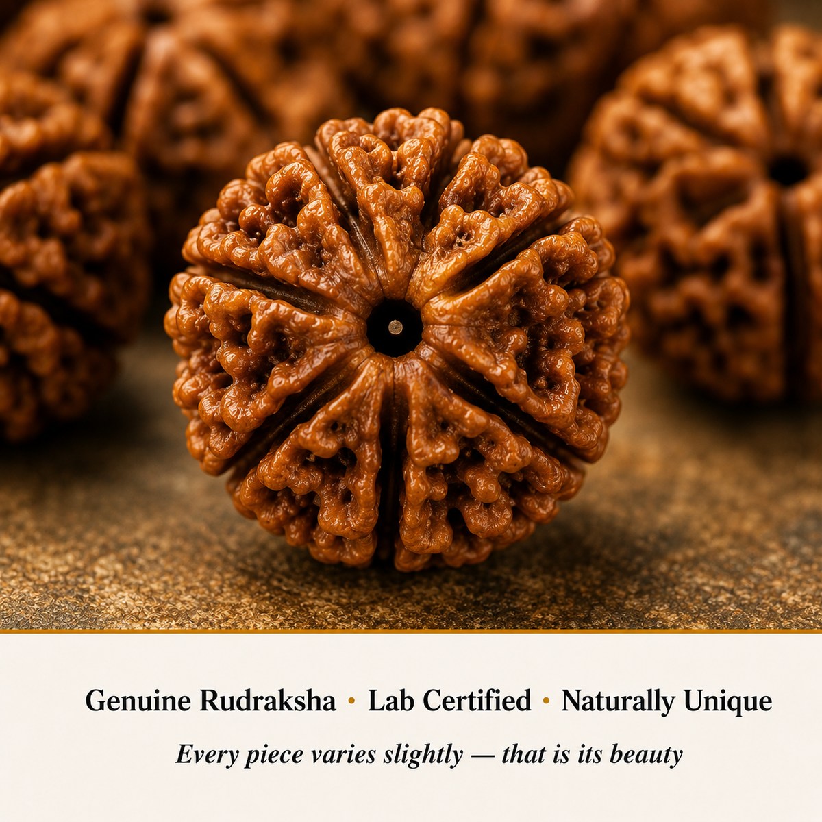 Close-up of 5 Mukhi Rudraksha showing natural crystal texture and detail