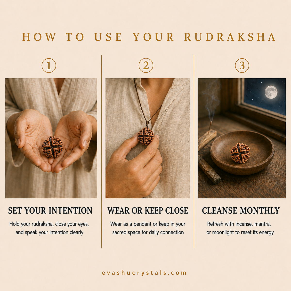 4 Mukhi Rudraksha wearing, placement, intention and crystal care usage guide