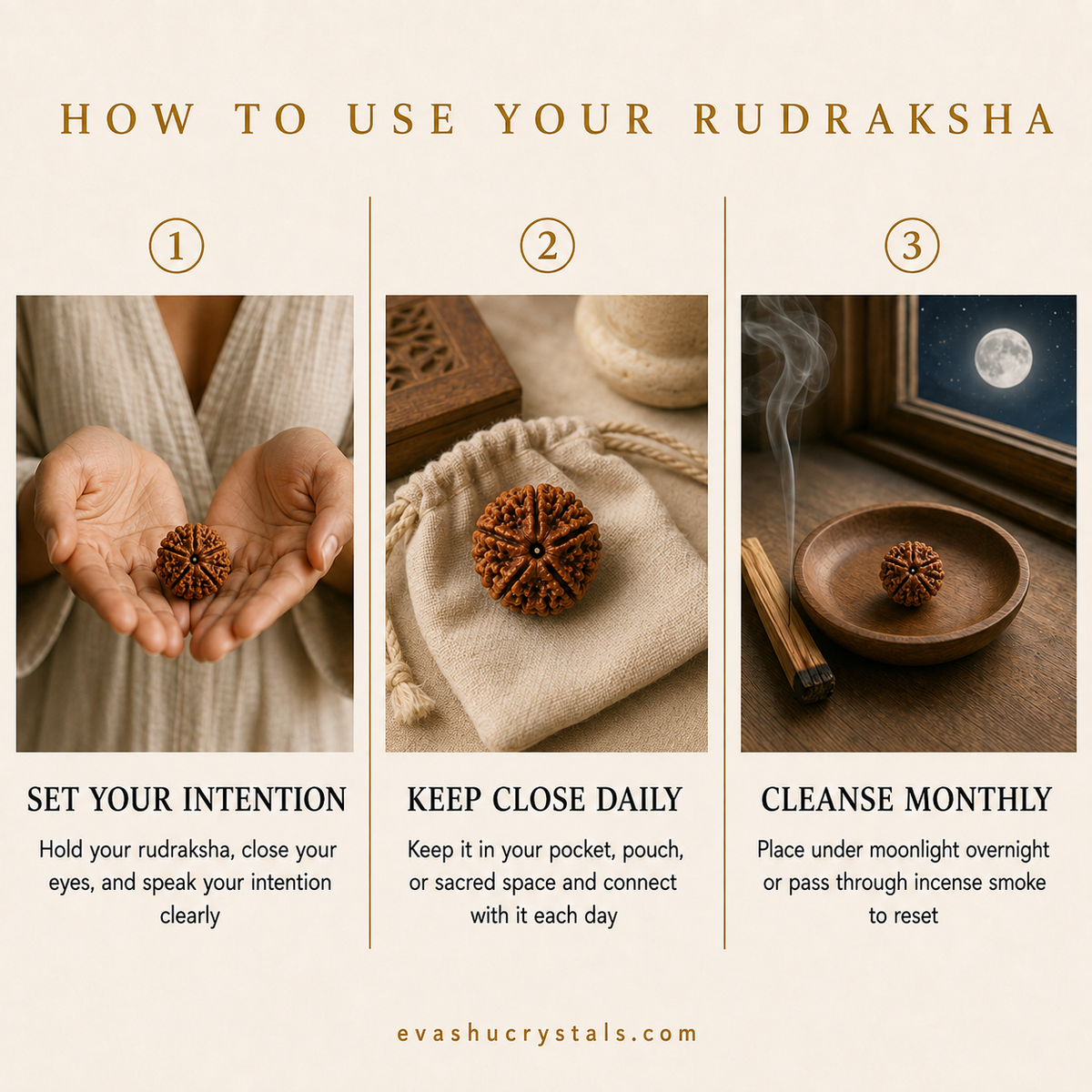 5 Mukhi Rudraksha wearing, placement, intention and crystal care usage guide