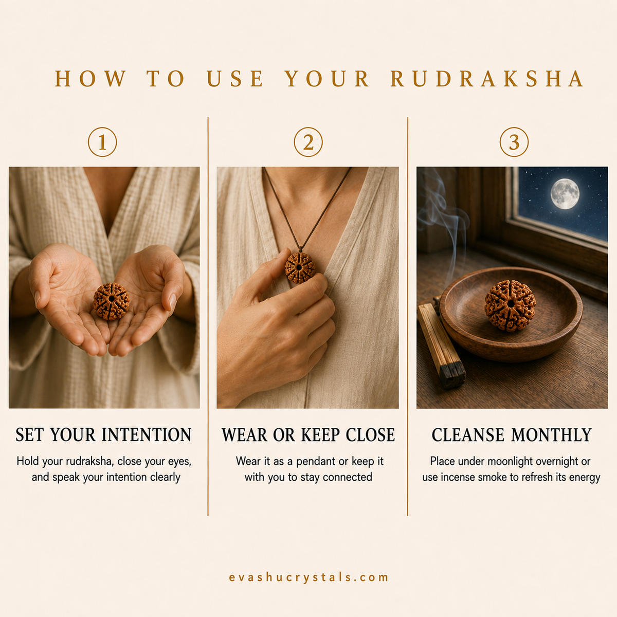 6 Mukhi Rudraksha wearing, placement, intention and crystal care usage guide