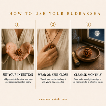 6 Mukhi Rudraksha wearing, placement, intention and crystal care usage guide