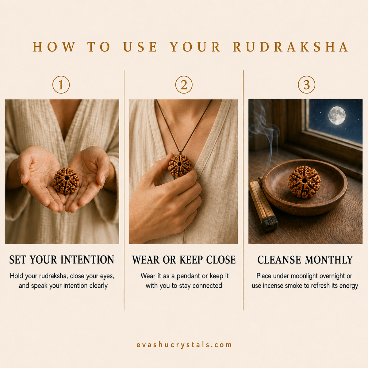 7 Mukhi Rudraksha care and use guide
