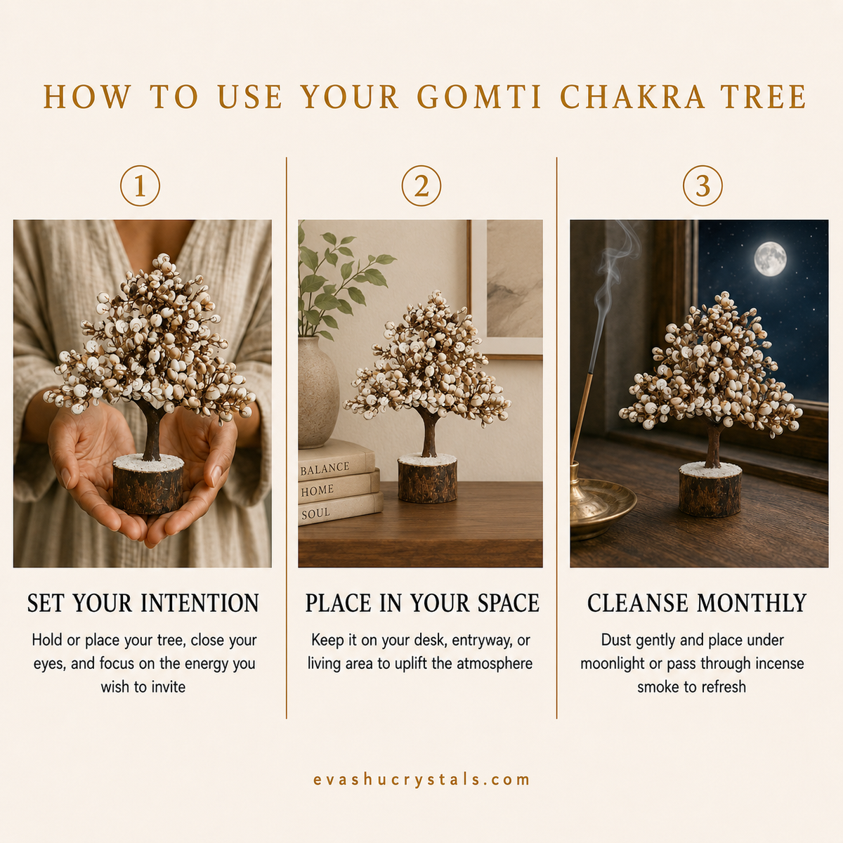 Gomti Chakra Tree wearing, placement, intention and crystal care usage guide