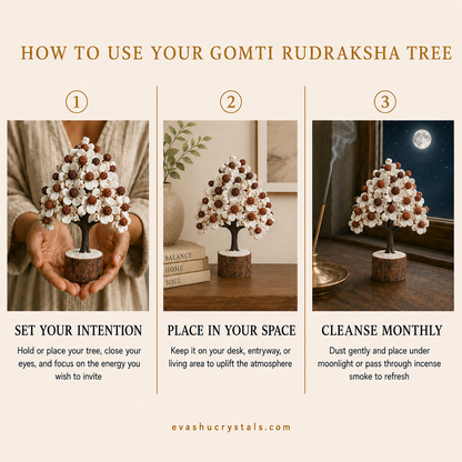 Gomti Rudraksha Tree wearing, placement, intention and crystal care usage guide