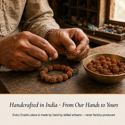 7 Mukhi Rudraksha product information by Evashu Crystals