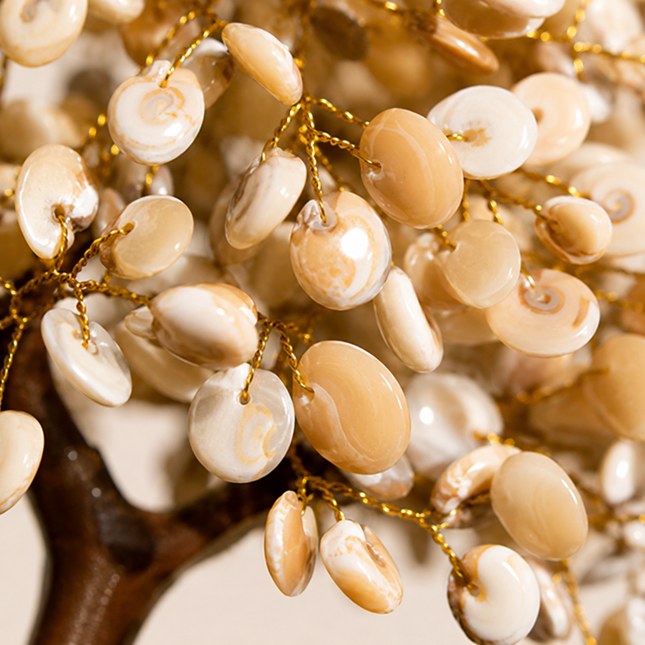 Natural Gomti Chakra Crystal Tree for Protection