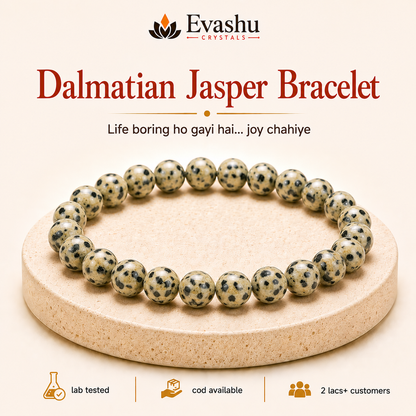 Natural Dalmatian Jasper 8mm Bracelet for Playfulness