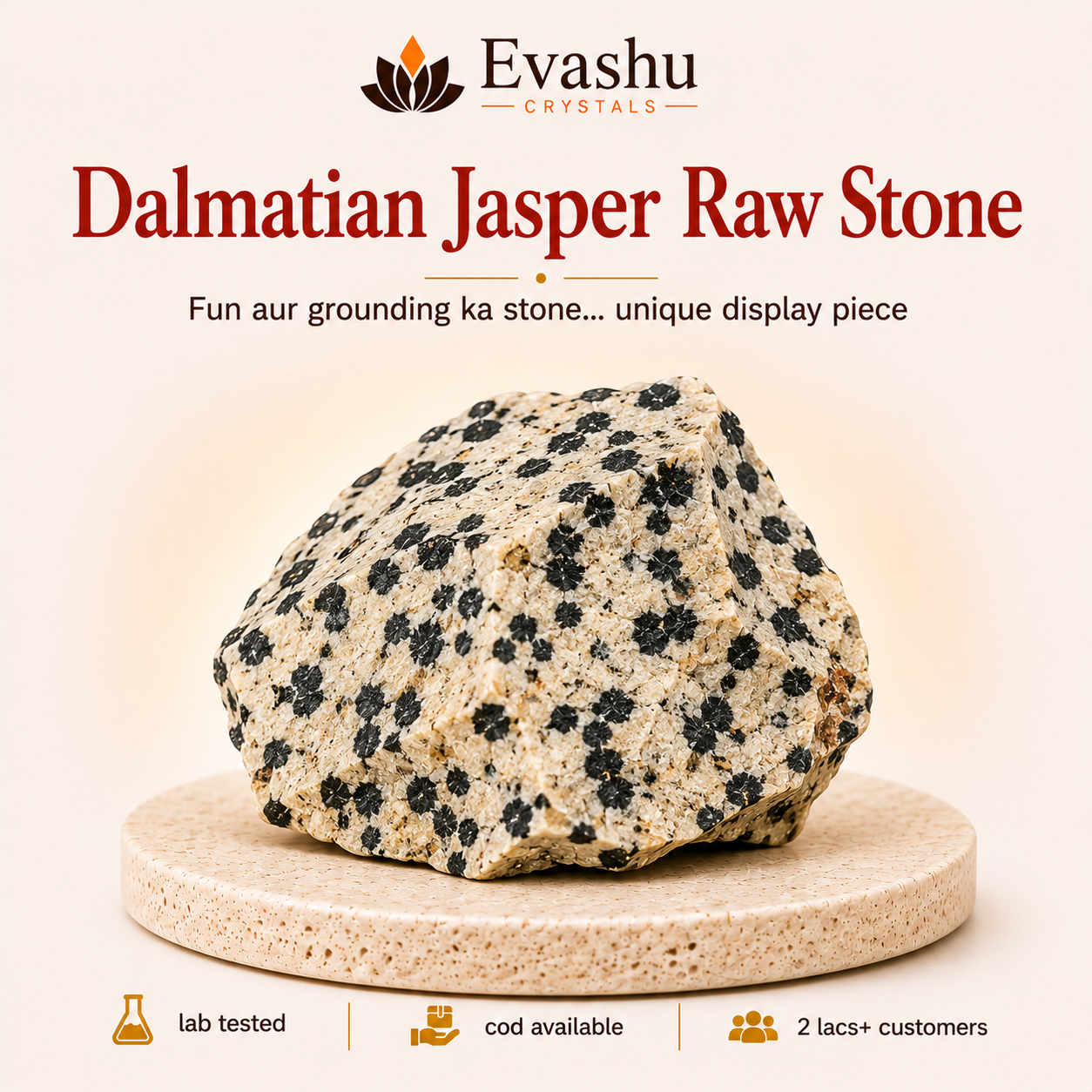 Natural Dalmatian Jasper Raw Stone for Joy