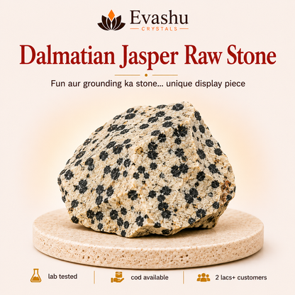 Natural Dalmatian Jasper Raw Stone for Joy