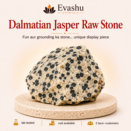 Natural Dalmatian Jasper Raw Stone for Joy