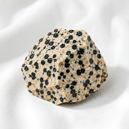Natural Dalmatian Jasper Raw Stone for Joy