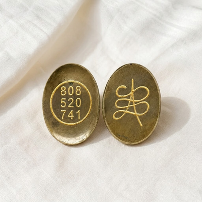 Natural Pyrite Zibu Coin for Abundance