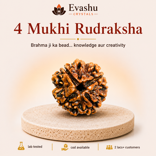 4 Mukhi Rudraksha Bead for Wisdom
