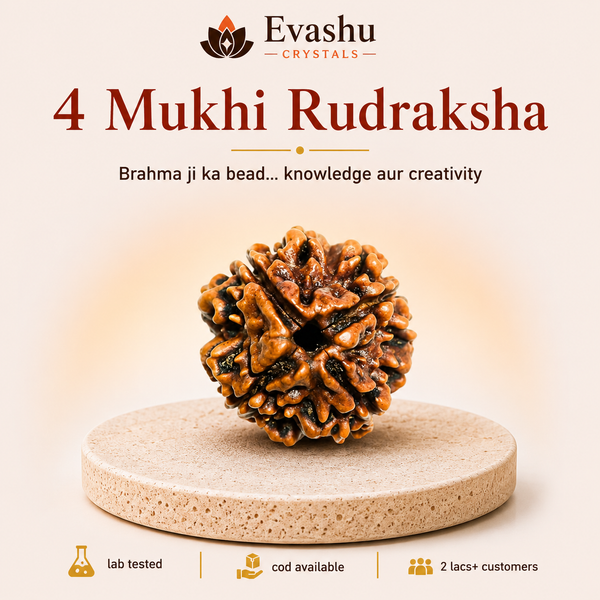 4 Mukhi Rudraksha Bead for Wisdom