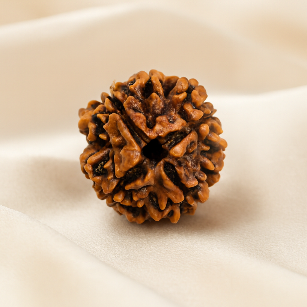 4 Mukhi Rudraksha Bead for Wisdom