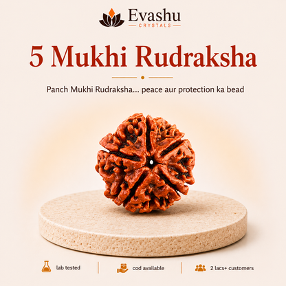 5 Mukhi Rudraksha Bead for Peace