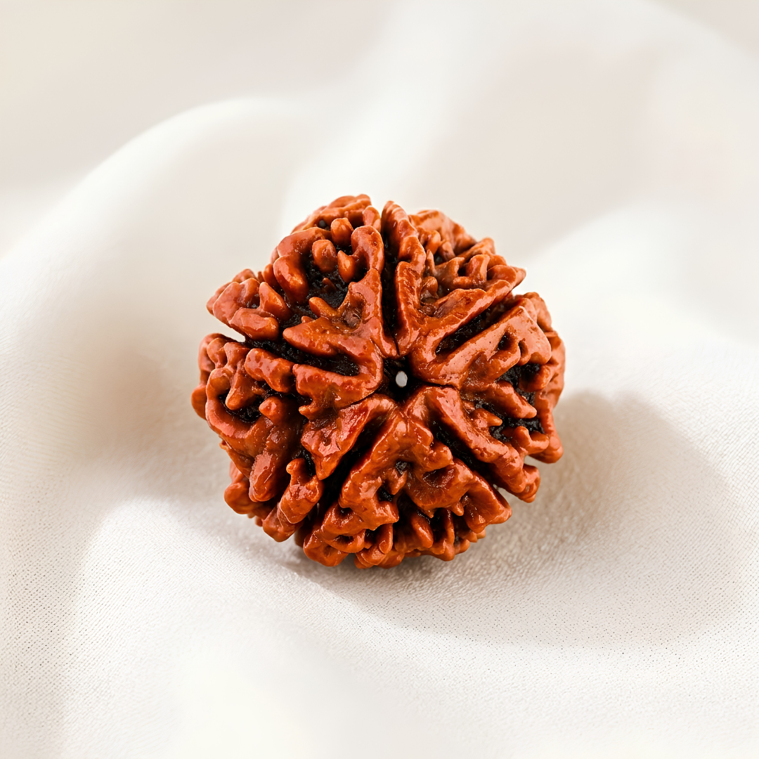 5 Mukhi Rudraksha Bead for Peace