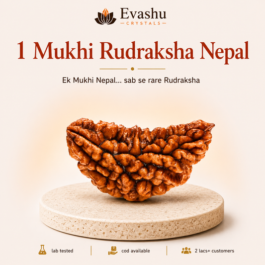 1 Mukhi Rudraksha Pendant - Image 1