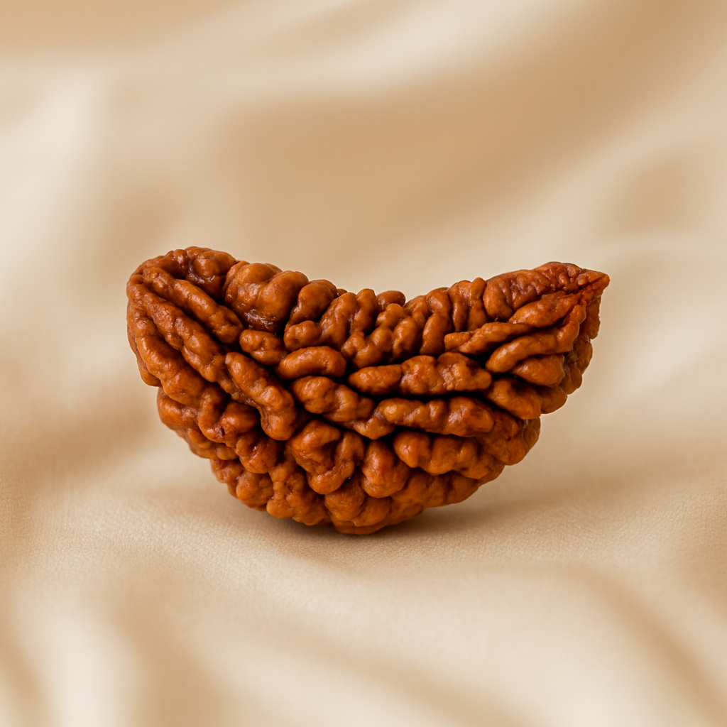 1 Mukhi Rudraksha Pendant - Image 4