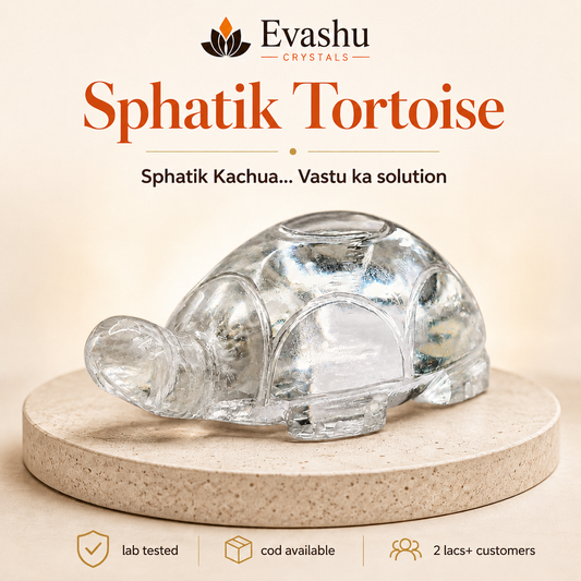 Natural Clear Quartz Tortoise for Energy Balance